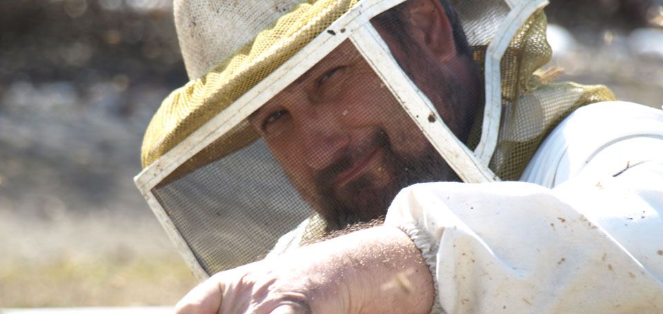 Bill Jr. inspecting a frame of bees