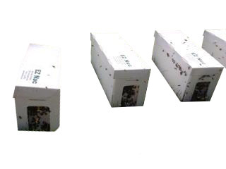 Nucs for sale